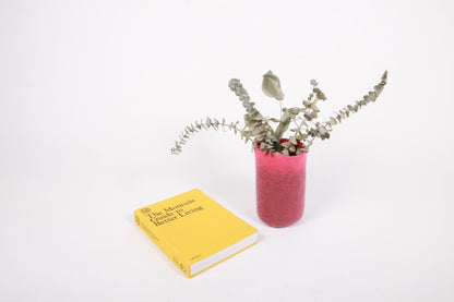 VASE COVER - BRIGHT RASPBERRY SET