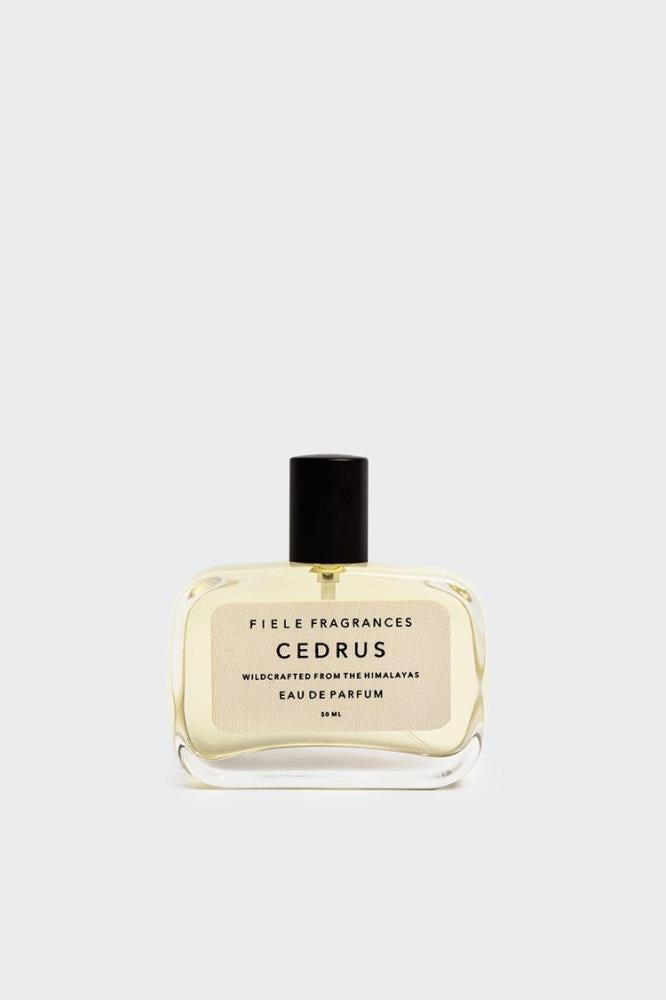 FIELE CEDRUS